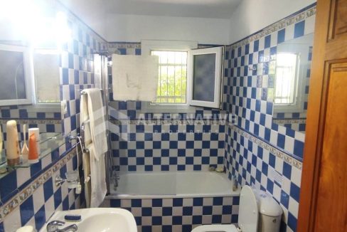 V587 Property Photos (11)