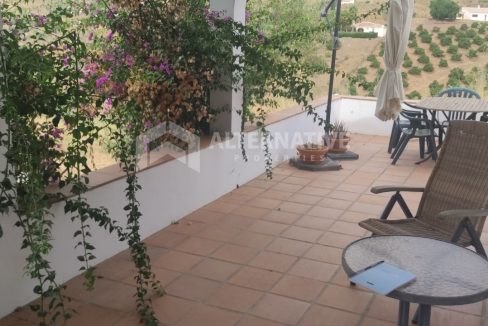 V589 Property Photos (1)