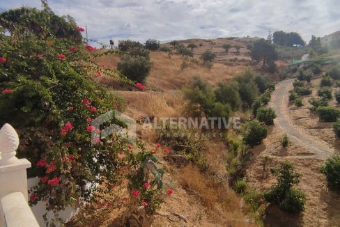 V589 Property Photos (16)